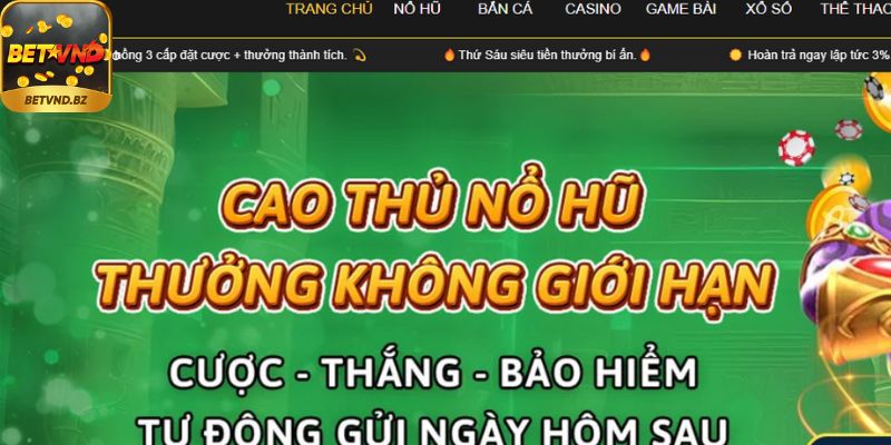 Một số các câu hỏi thường gặp khi cá cược tại Betvnd