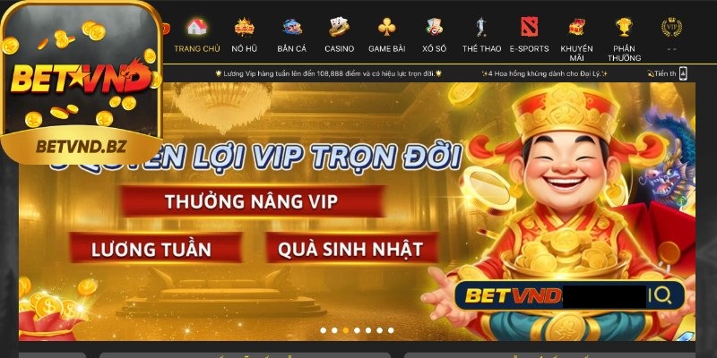 Betvnd lừa đảo