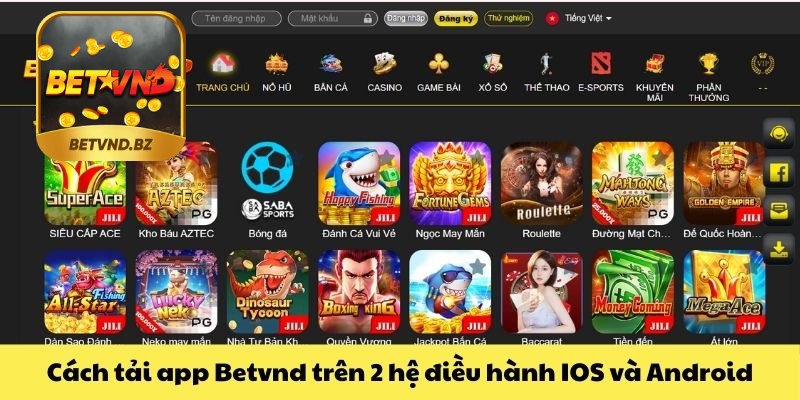 Tải app Betvnd