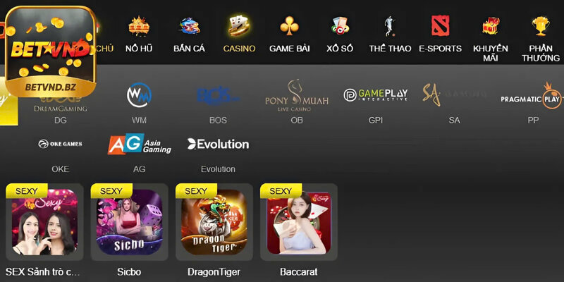 Tổng quan Casino Betvnd